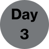Day 3